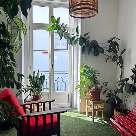 Living Lounge *